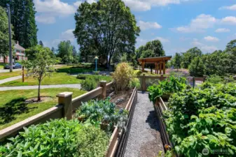 Lush raised beds burst with life beside a communal pavilion—where neighbors swap seeds, stories, and the season’s best harvest. This shared green space enriches the Fort Lawton lifestyle, blending individual joy with collective purpose amid the timeless rhythm of Discovery Park.