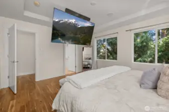 Drop down flat screen TV