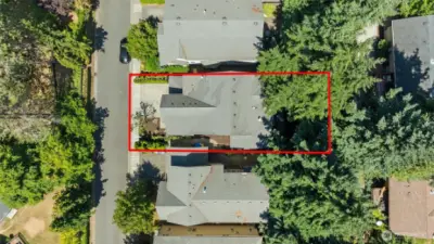 Lot lines of property