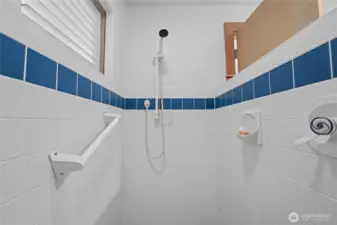 Primary bathroom walk in shower