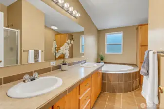 Primary Bathroom w/jacuzzi tub