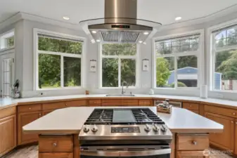 Island with Cooktop
