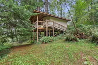 Tree House