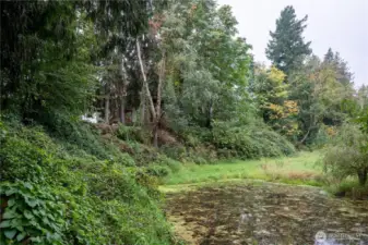 Pond w/its own island!