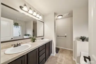 5 piece master bath.