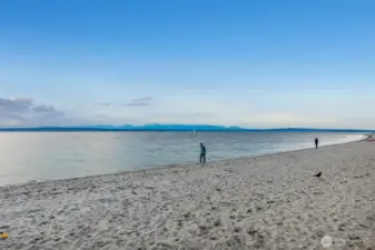 Beaches of Golden Gardens