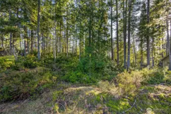 Soil evaluation records from 2012 are available from Mason County.