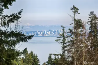 City of Seattle views from the Primary Suite