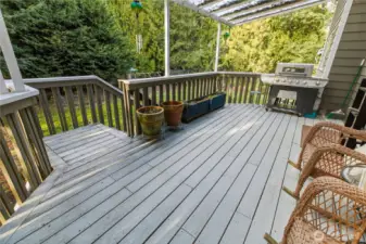Covered deck off kitchen provides a cozy respite for morning coffee/tea