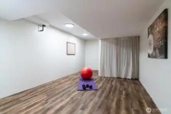 Lower level bonus room, ideal for a home gym, hobby or sewing room or music studio as well as a wide variety of other uses