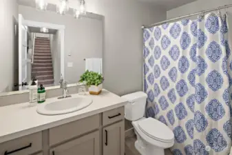 Lower level full bathroom