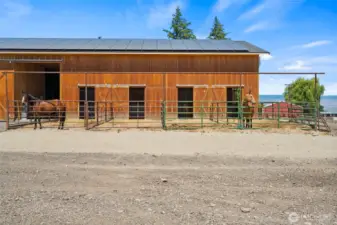 4 12x12 Matted Horse stalls with 30 ft. paddocks