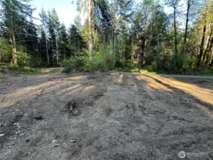 Potential building site.