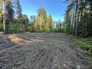 Potential building site.