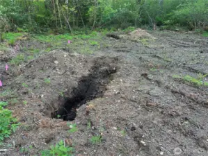 Septice plan drawn. Perk holes are dug.