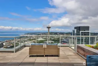 41st floor Sky Retreat. Amazing views of Elliott Bay and iconic Space Needle!