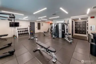 7th/8th floor Upper and Lower Gyms.
