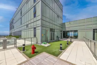 41st Floor Pet Retreat (Dog Run)