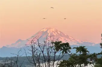 This photo was taken from the balcony.