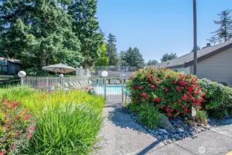 Outdoor pool, located at the cabana. You'll also find full tennis courts here as well!