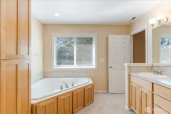 Primary Bathroom - Lots of Storage