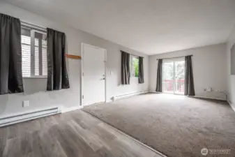 Lower unit living room