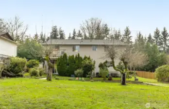 Rare: massive level backyard