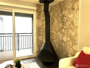 wood burning fire place