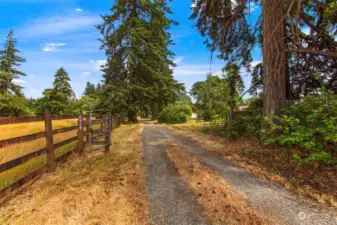 Private driveway with gated entrance