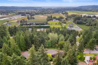 Arial view of Sumner valley.  Tacoma city lights and Olympic Mountains beyond.