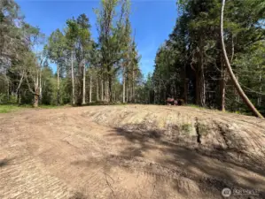 What would you do with 10 acres?