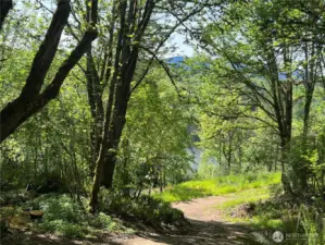 Looking down the driveway to the lake.