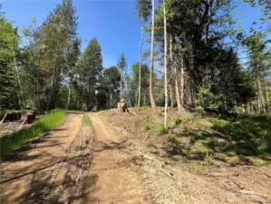 Nice homesite ahead.