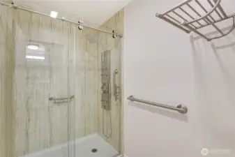 New lower level bathroom private shower area.