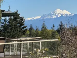 Mount Baker looks majestic and close enough to reach out and touch!