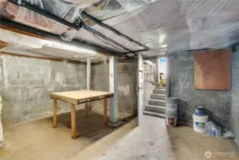 This unfinished cellar offers a dry space to store any extra items.