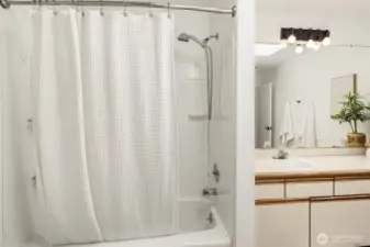 Full tub and skylight!
