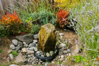 Beautiful fountain creates adds a special touch to the back yard and can be controlled with a remote.