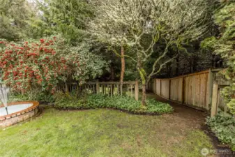Take a few steps down this path and find yourself in your own private natural northwest wooded space