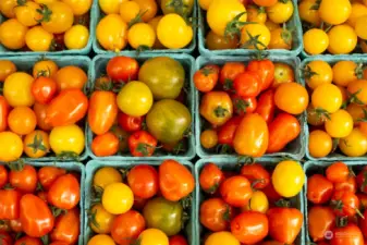 The University Farmer's Market is a short stroll away - open very Saturday year-round.