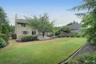 Can you imagine enjoying this spacious backyard?