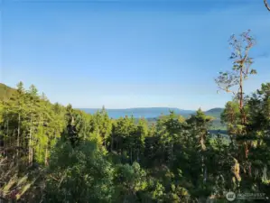 Hood Canal View