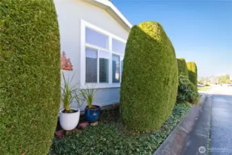 Privacy hedges