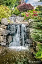 One of the elegant waterfalls in the community.