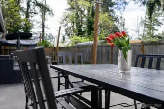 View of Back Yard