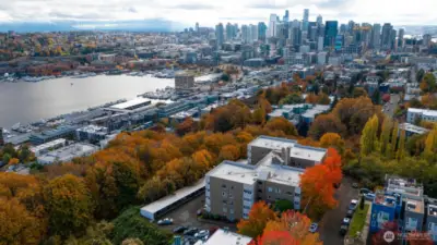 So close to Westlake, Lower Queen Ann and Lake Union, to the West is Queen Anne Avenue with shopping and services. This image is looking SE towards Capitol Hill.