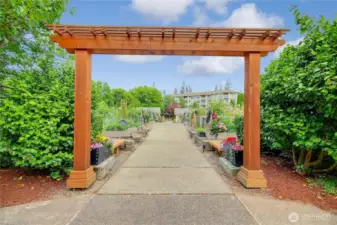 Pea Patch Garden