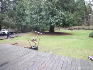 Front yard with lots of space for games