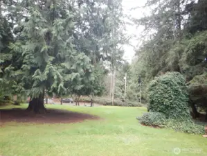 More of the park-like grounds