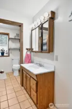 Downstairs Guest Bathroom